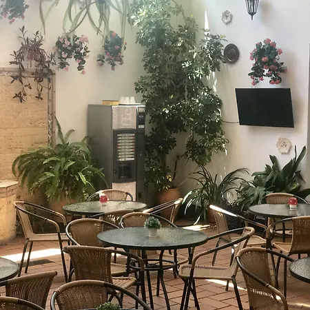 洛斯法罗乐思酒店 酒店 2*