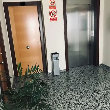 酒店 洛斯法罗乐思酒店 科爾多瓦